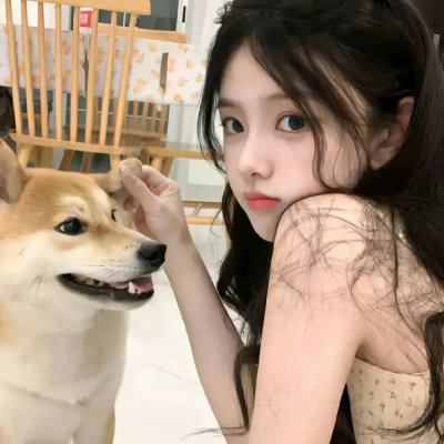 驯鹿游戏